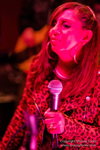 Australia, Blues, Blues Train, Geelong, Live Music, Photography, Queenscliff, Travel