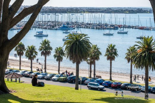 Art, Australia, Geelong, Geelong Botanic Gardens, Landscape, Nature, Photography, Travel