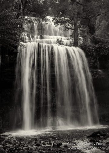 Australia, Black and White, Bruny Island, Landscape, Monochrome, Mount Field National Park, Nature, Photography, Tasmania, The Styx Valley, Travel, Wilderness