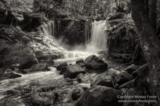 Australia, Black and White, Bruny Island, Landscape, Monochrome, Mount Field National Park, Nature, Photography, Tasmania, The Styx Valley, Travel, Wilderness