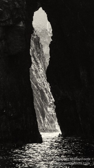 Australia, Black and White, Bruny Island, Landscape, Monochrome, Mount Field National Park, Nature, Photography, Tasmania, The Styx Valley, Travel, Wilderness