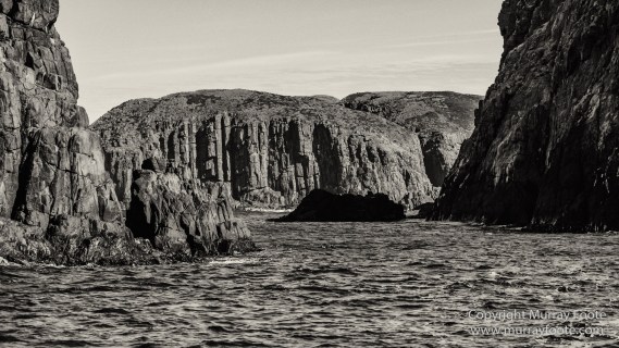 Australia, Black and White, Bruny Island, Landscape, Monochrome, Mount Field National Park, Nature, Photography, Tasmania, The Styx Valley, Travel, Wilderness