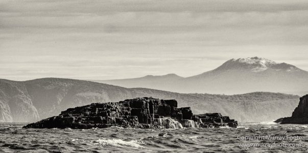 Australia, Black and White, Bruny Island, Landscape, Monochrome, Mount Field National Park, Nature, Photography, Tasmania, The Styx Valley, Travel, Wilderness