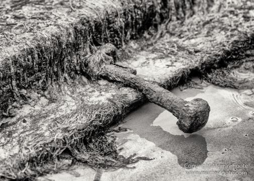 Australia, Black and White, Bruny Island, Hobart, Landscape, Monochrome, Mount Hartz National Park, Nature, Photography, Tahune Air Walk, Tasmania, Travel, Wilderness