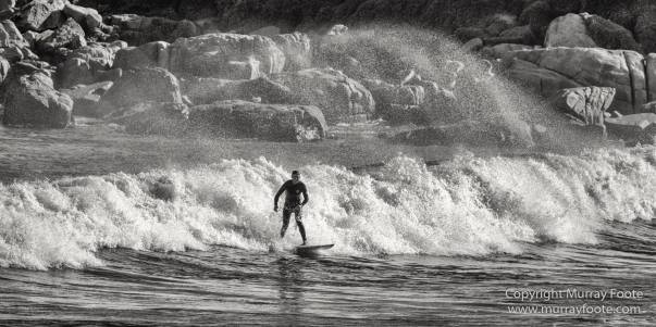 Australia, Black and White, Bruny Island, Hobart, Landscape, Monochrome, Mount Hartz National Park, Nature, Photography, Tahune Air Walk, Tasmania, Travel, Wilderness