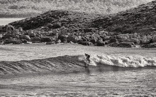 Australia, Black and White, Bruny Island, Hobart, Landscape, Monochrome, Mount Hartz National Park, Nature, Photography, Tahune Air Walk, Tasmania, Travel, Wilderness