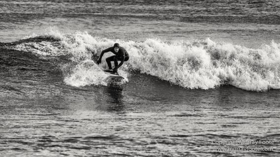 Australia, Black and White, Bruny Island, Hobart, Landscape, Monochrome, Mount Hartz National Park, Nature, Photography, Tahune Air Walk, Tasmania, Travel, Wilderness