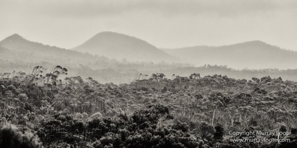 Australia, Black and White, Bruny Island, Hobart, Landscape, Monochrome, Mount Hartz National Park, Nature, Photography, Tahune Air Walk, Tasmania, Travel, Wilderness