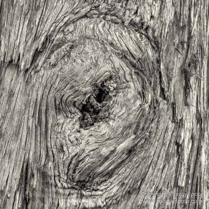 Australia, Black and White, Bruny Island, Hobart, Landscape, Monochrome, Mount Hartz National Park, Nature, Photography, Tahune Air Walk, Tasmania, Travel, Wilderness