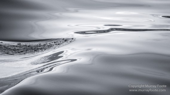 Australia, Black and White, Ketch, Landscape, Maria Island, Monochrome, Nature, Photography, Sailing, Tasmania, Travel, Wilderness, Wineglass Bay Sail Walk, Yachts