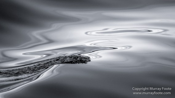 Australia, Black and White, Ketch, Landscape, Maria Island, Monochrome, Nature, Photography, Sailing, Tasmania, Travel, Wilderness, Wineglass Bay Sail Walk, Yachts