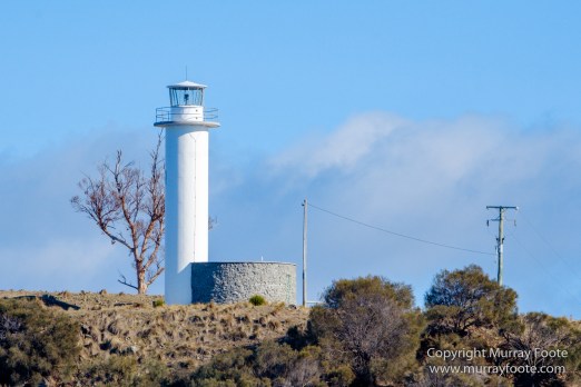 Australia, Fur seal, Ile des Phoques, Ketch, Maria Island, Nature, Photography, Sailing, Schouten Island, seascape, Tasmania, Travel, Wilderness, Wineglass Bay Sail Walk, Yachts