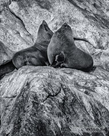 Australia, Black and White, Ile des Phoques, Ketch, Landscape, Monochrome, Nature, Photography, Sailing, Tasmania, Travel, Wilderness, Wineglass Bay, Wineglass Bay Sail Walk, Yachts