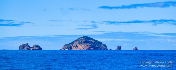 Australia, Fur seal, Ile des Phoques, Ketch, Maria Island, Nature, Photography, Sailing, Schouten Island, seascape, Tasmania, Travel, Wilderness, Wineglass Bay Sail Walk, Yachts