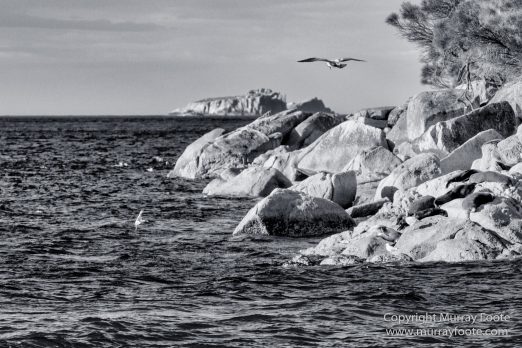Australia, Black and White, Ile des Phoques, Ketch, Landscape, Monochrome, Nature, Photography, Sailing, Tasmania, Travel, Wilderness, Wineglass Bay, Wineglass Bay Sail Walk, Yachts