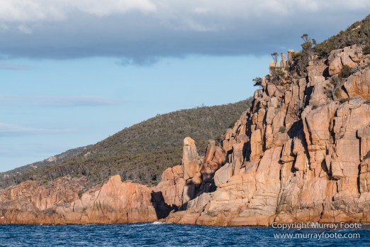 Australia, Freycinet Peninsula, Fur seal, Ketch, Little Tern, Nature, Photography, Sailing, seascape, Tasmania, Travel, Wilderness, Wineglass Bay, Wineglass Bay Sail Walk, Yachts