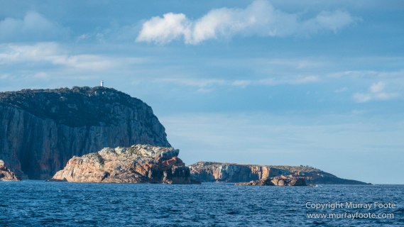 Australia, Freycinet Peninsula, Fur seal, Ketch, Little Tern, Nature, Photography, Sailing, seascape, Tasmania, Travel, Wilderness, Wineglass Bay, Wineglass Bay Sail Walk, Yachts