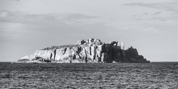 Australia, Black and White, Ile des Phoques, Ketch, Landscape, Monochrome, Nature, Photography, Sailing, Tasmania, Travel, Wilderness, Wineglass Bay, Wineglass Bay Sail Walk, Yachts