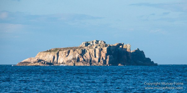 Australia, Freycinet Peninsula, Fur seal, Ketch, Little Tern, Nature, Photography, Sailing, seascape, Tasmania, Travel, Wilderness, Wineglass Bay, Wineglass Bay Sail Walk, Yachts