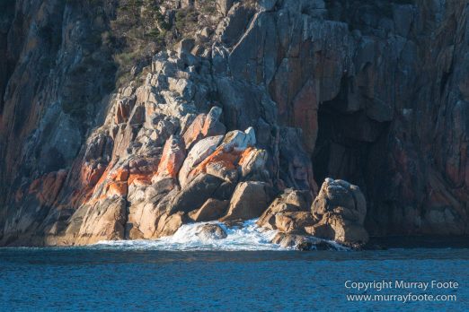 Australia, Freycinet Peninsula, Fur seal, Ketch, Little Tern, Nature, Photography, Sailing, seascape, Tasmania, Travel, Wilderness, Wineglass Bay, Wineglass Bay Sail Walk, Yachts
