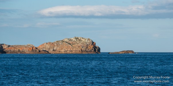 Australia, Freycinet Peninsula, Fur seal, Ketch, Little Tern, Nature, Photography, Sailing, seascape, Tasmania, Travel, Wilderness, Wineglass Bay, Wineglass Bay Sail Walk, Yachts