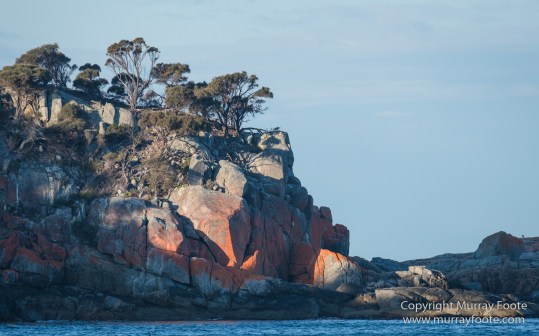 Australia, Freycinet Peninsula, Fur seal, Ketch, Little Tern, Nature, Photography, Sailing, seascape, Tasmania, Travel, Wilderness, Wineglass Bay, Wineglass Bay Sail Walk, Yachts