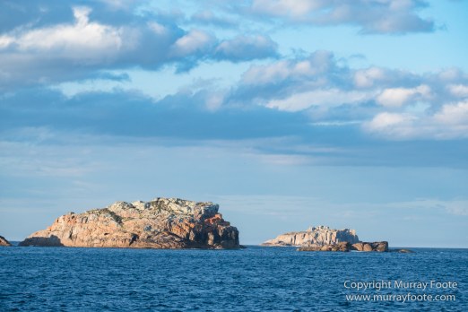 Australia, Freycinet Peninsula, Fur seal, Ketch, Little Tern, Nature, Photography, Sailing, seascape, Tasmania, Travel, Wilderness, Wineglass Bay, Wineglass Bay Sail Walk, Yachts
