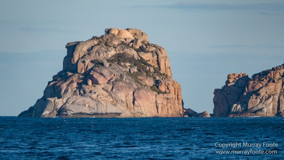 Australia, Freycinet Peninsula, Fur seal, Ketch, Little Tern, Nature, Photography, Sailing, seascape, Tasmania, Travel, Wilderness, Wineglass Bay, Wineglass Bay Sail Walk, Yachts