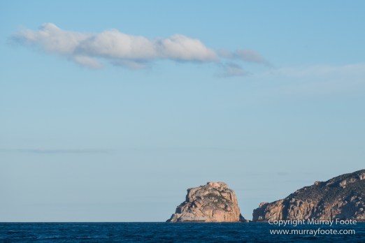 Australia, Freycinet Peninsula, Fur seal, Ketch, Little Tern, Nature, Photography, Sailing, seascape, Tasmania, Travel, Wilderness, Wineglass Bay, Wineglass Bay Sail Walk, Yachts