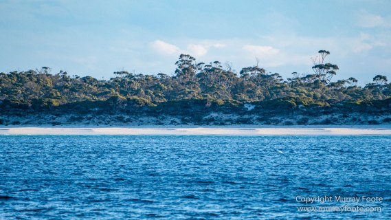 Australia, Freycinet Peninsula, Fur seal, Ketch, Little Tern, Nature, Photography, Sailing, seascape, Tasmania, Travel, Wilderness, Wineglass Bay, Wineglass Bay Sail Walk, Yachts
