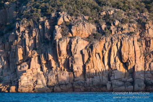 Australia, Freycinet Peninsula, Fur seal, Ketch, Little Tern, Nature, Photography, Sailing, seascape, Tasmania, Travel, Wilderness, Wineglass Bay, Wineglass Bay Sail Walk, Yachts
