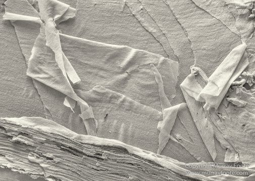 Architecture, Australia, Black and White, Canberra, Landscape, Macro, Monochrome, Nature, Photography, Travel, Wildlife