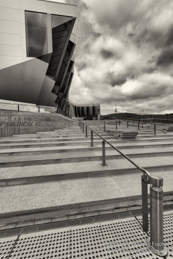 Architecture, Australia, Black and White, Canberra, Landscape, Macro, Monochrome, Nature, Photography, Travel, Wildlife