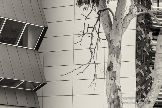Architecture, Australia, Black and White, Canberra, Landscape, Macro, Monochrome, Nature, Photography, Travel, Wildlife