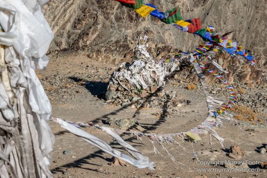 Buddhism, Hemis National Park, Horses, India, Ladakh, Landscape, Nature, Photography, Tibet, Travel, Wilderness