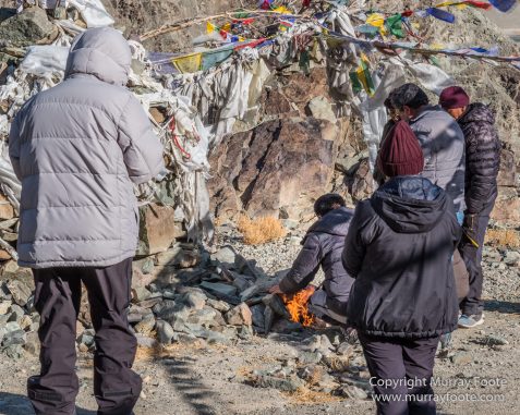 Buddhism, Hemis National Park, Horses, India, Ladakh, Landscape, Nature, Photography, Tibet, Travel, Wilderness