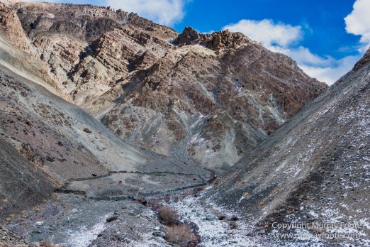 Buddhism, Hemis National Park, Horses, India, Ladakh, Landscape, Nature, Photography, Tibet, Travel, Wilderness
