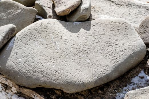 Buddhism, Hemis National Park, Horses, India, Ladakh, Landscape, Nature, Photography, Rumbak, Tibet, Travel, Wilderness