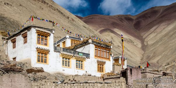 Buddhism, Hemis National Park, Horses, India, Ladakh, Landscape, Nature, Photography, Rumbak, Tibet, Travel, Wilderness