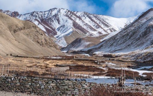 Buddhism, Hemis National Park, Horses, India, Ladakh, Landscape, Nature, Photography, Rumbak, Tibet, Travel, Wilderness