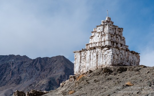 Buddhism, Hemis National Park, Horses, India, Ladakh, Landscape, Nature, Photography, Rumbak, Tibet, Travel, Wilderness