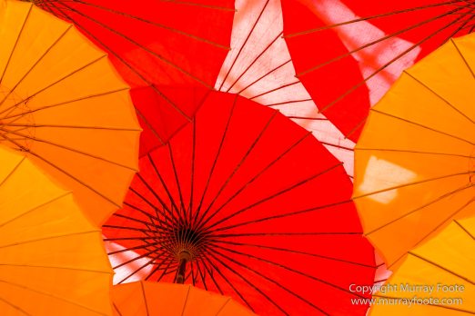 Flower Dome, Flowers, Gardens by the Bay, Landscape, Macro, Nature, Orchids, Photography, Singapore, Travel