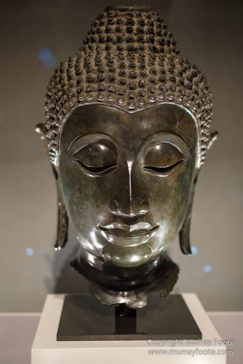 Asian Civilisations Museum, Cloud Forest, Flowers, Gardens by the Bay, Landscape, Macro, Nature, Orchids, Photography, Singapore, Travel