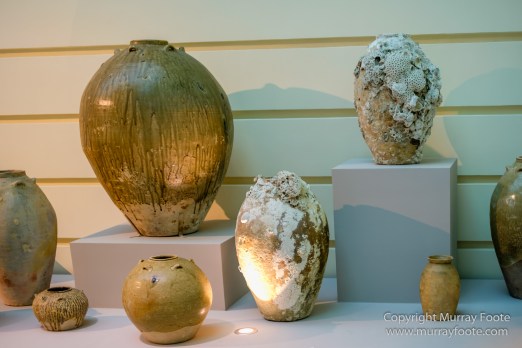 Asian Civilisations Museum, Cloud Forest, Flowers, Gardens by the Bay, Landscape, Macro, Nature, Orchids, Photography, Singapore, Travel