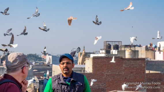 Delhi, Fatehpuri Masjid, Humayun's Tomb, India, Landscape, Photography, Street photography, Travel