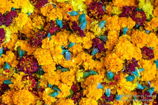 Delhi, Fatehpuri Masjid, Humayun's Tomb, India, Landscape, Photography, Street photography, Travel