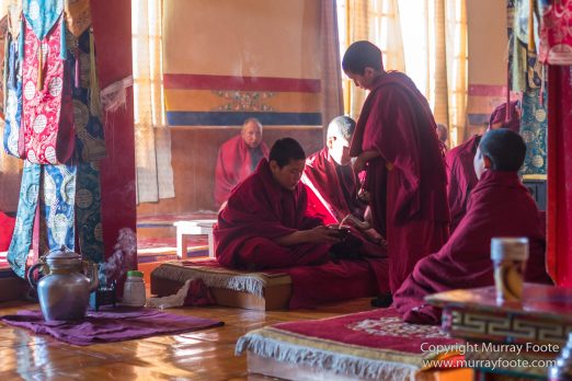 Buddhism, India, Ladakh, Landscape, Leh, Photography, Thiksay Monastery, Tibet, Travel