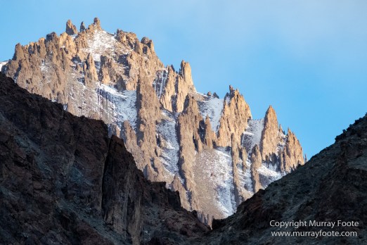 Bharal, Blue Sheep, Hemis National Park, India, Ladakh, Landscape, Nature, Photography, Rumbak, Tibet, Travel, Wilderness