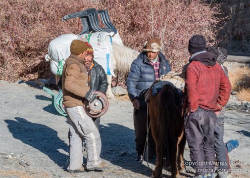 Abstract, Buddhism, Hemis National Park, Ice, India, Ladakh, Landscape, Macro, Nature, Photography, Rumbak, Snow Leopards, Tibet, Travel, Wildernes