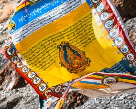 Abstract, Buddhism, Hemis National Park, Ice, India, Ladakh, Landscape, Macro, Nature, Photography, Rumbak, Snow Leopards, Tibet, Travel, Wildernes